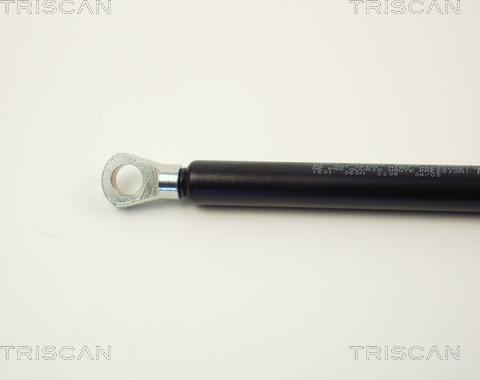 Triscan 8710 1601 - Газова пружина, кришка багажник autozip.com.ua