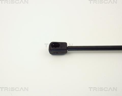 Triscan 8710 1610 - Газова пружина, кришка багажник autozip.com.ua