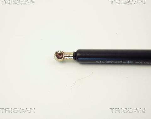 Triscan 8710 1009 - Газова пружина, кришка багажник autozip.com.ua
