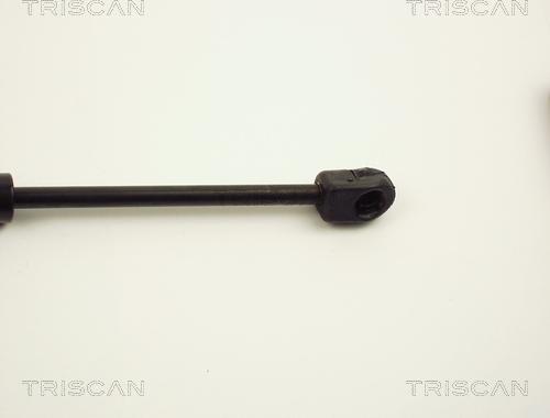 Triscan 8710 1007 - Газова пружина, кришка багажник autozip.com.ua