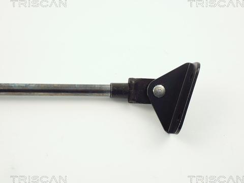 Triscan 8710 10202 - Газова пружина, кришка багажник autozip.com.ua