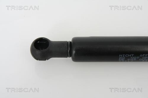 Triscan 8710 11110 - Газова пружина, капот autozip.com.ua