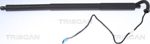 Triscan 8710 11306 - Газова пружина, кришка багажник autozip.com.ua