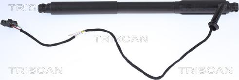 Triscan 8710 11303 - Газова пружина, кришка багажник autozip.com.ua