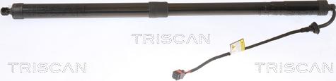 Triscan 8710 11313 - Газова пружина, кришка багажник autozip.com.ua