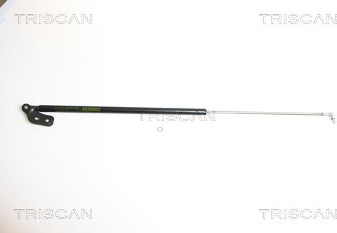 Triscan 8710 18210 - Газова пружина, кришка багажник autozip.com.ua