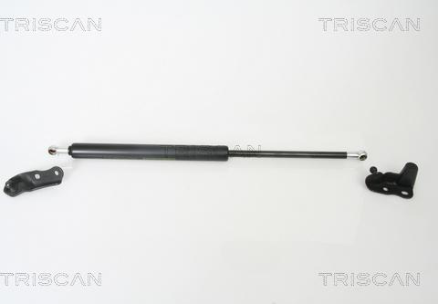 Triscan 8710 13265 - Газова пружина, кришка багажник autozip.com.ua
