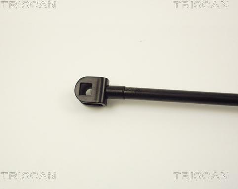 Triscan 8710 13229 - Газова пружина, кришка багажник autozip.com.ua