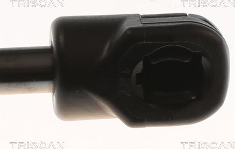 Triscan 8710 82002 - Газова пружина, кришка багажник autozip.com.ua