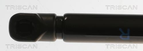 Triscan 8710 82002 - Газова пружина, кришка багажник autozip.com.ua