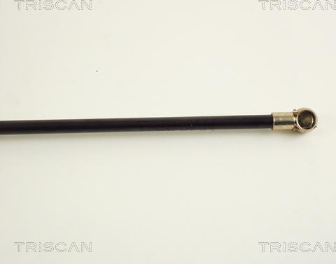 Triscan 8710 38209 - Газова пружина, кришка багажник autozip.com.ua