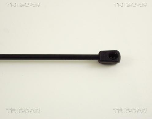 Triscan 8710 38216 - Газова пружина, кришка багажник autozip.com.ua
