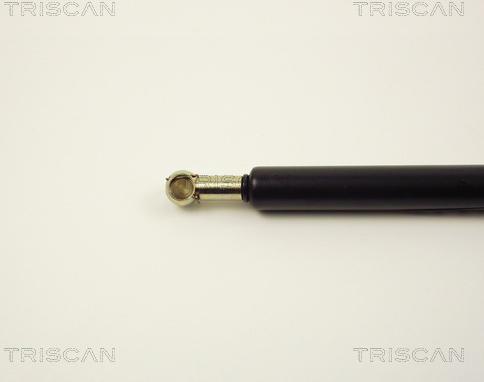 Triscan 8710 2907 - Газова пружина, кришка багажник autozip.com.ua