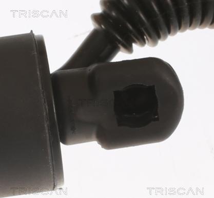 Triscan 8710 29306 - Газова пружина, кришка багажник autozip.com.ua