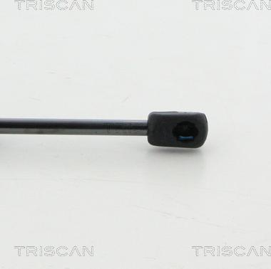 Triscan 8710 29204 - Газова пружина, кришка багажник autozip.com.ua