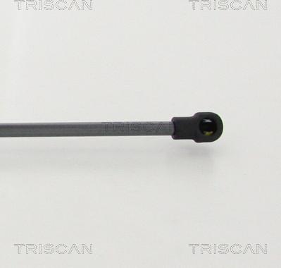 Triscan 8710 292038 - Газова пружина, кришка багажник autozip.com.ua
