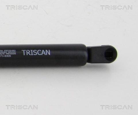 Triscan 8710 292027 - Газова пружина, кришка багажник autozip.com.ua