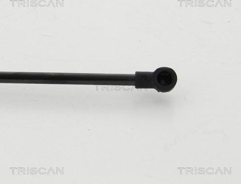 Triscan 8710 24254 - Газова пружина, кришка багажник autozip.com.ua