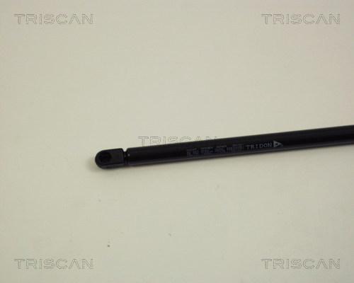 Triscan 8710 24210 - Газова пружина, кришка багажник autozip.com.ua