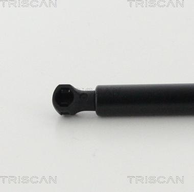 Triscan 8710 25113 - Газова пружина, капот autozip.com.ua