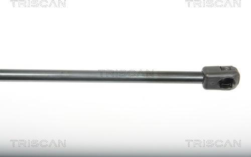 Triscan 8710 25243 - Газова пружина, кришка багажник autozip.com.ua