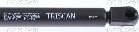Triscan 8710 25219 - Газова пружина, кришка багажник autozip.com.ua