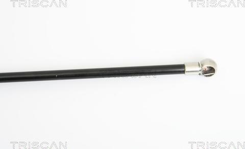 Triscan 8710 25229 - Газова пружина, кришка багажник autozip.com.ua