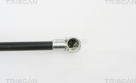 Triscan 8710 25228 - Газова пружина, кришка багажник autozip.com.ua