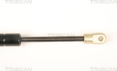 Triscan 8710 20202 - Газова пружина, кришка багажник autozip.com.ua