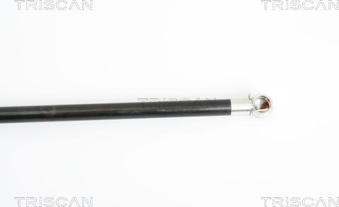 Triscan 8710 21207 - Газова пружина, кришка багажник autozip.com.ua