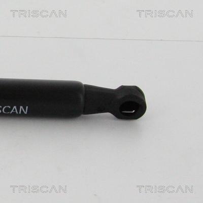 Triscan 8710 21210 - Газова пружина, кришка багажник autozip.com.ua