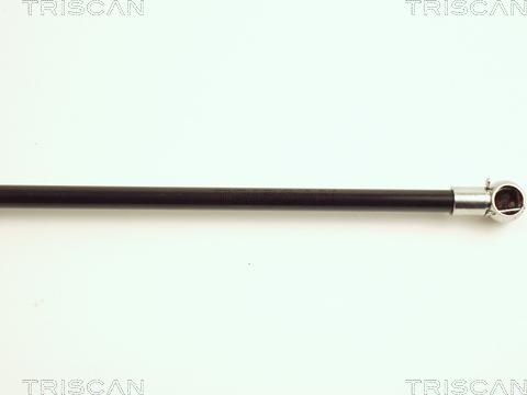 Triscan 8710 23202 - Газова пружина, кришка багажник autozip.com.ua