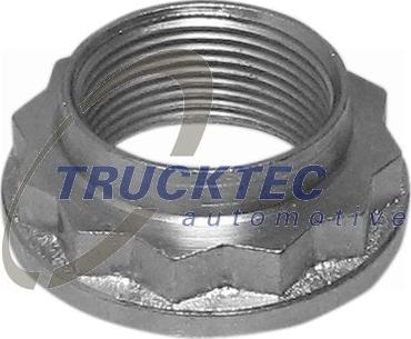 TRUCKTEC 08.32.053 - Гайка осі, приводний вал autozip.com.ua