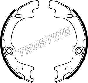 Trusting 046.221 - Комплект гальм, ручник, парковка autozip.com.ua