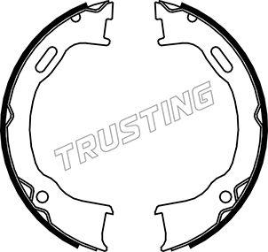 Trusting 088.239 - Комплект гальм, ручник, парковка autozip.com.ua
