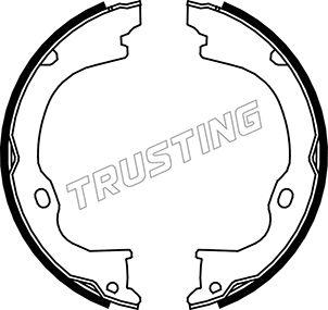 Trusting 088.238 - Комплект гальм, ручник, парковка autozip.com.ua