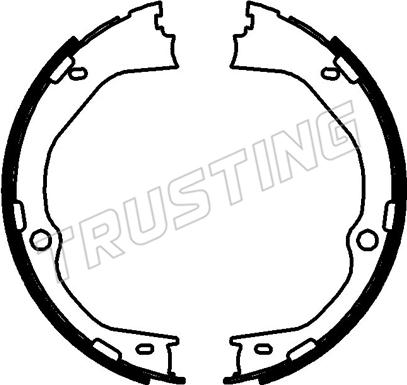 Trusting 253.780 - Комплект гальм, ручник, парковка autozip.com.ua