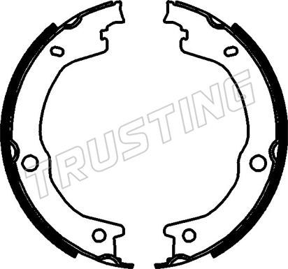 Trusting 253.788 - Комплект гальм, ручник, парковка autozip.com.ua