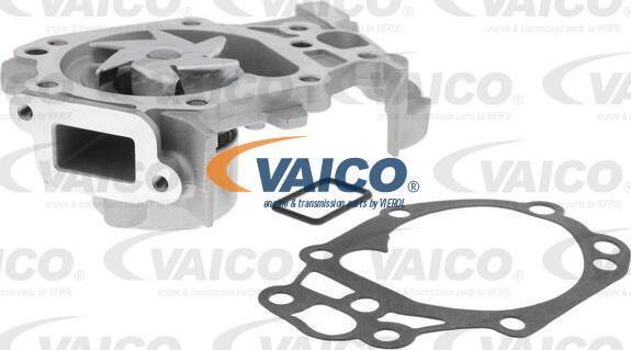 VAICO V46-50023 - Водяний насос + комплект зубчатого ременя autozip.com.ua