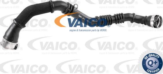 VAICO V46-1177 - Трубка нагнітається повітря autozip.com.ua