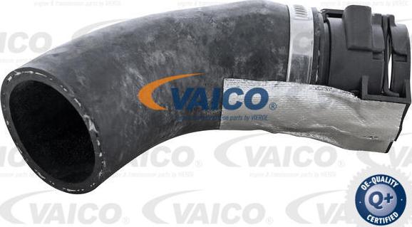 VAICO V46-1724 - Трубка нагнітається повітря autozip.com.ua