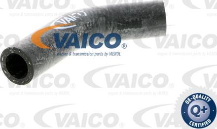 VAICO V40-0367 - Шланг радіатора autozip.com.ua