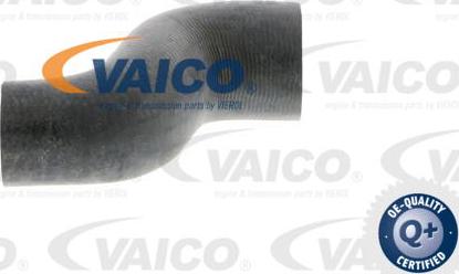 VAICO V40-0370 - Шланг радіатора autozip.com.ua