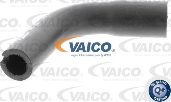 VAICO V40-1991 - Шланг, вентиляція картера autozip.com.ua