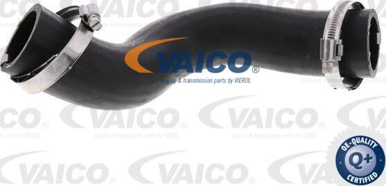 VAICO V40-1521 - Трубка нагнітається повітря autozip.com.ua