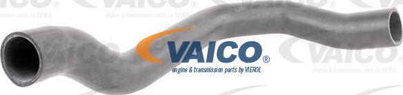 VAICO V42-0566 - Трубка нагнітається повітря autozip.com.ua