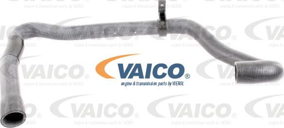 VAICO V42-0665 - Шланг радіатора autozip.com.ua
