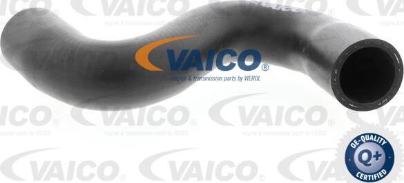 VAICO V42-0635 - Шланг радіатора autozip.com.ua