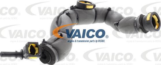 VAICO V42-0856 - Шланг, вентиляція картера autozip.com.ua