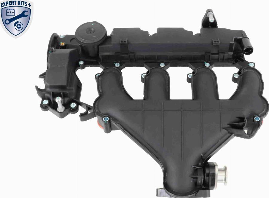 VAICO V42-1046 - Кришка головки циліндра autozip.com.ua
